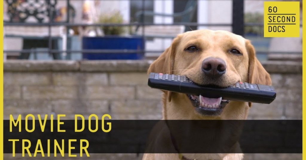 This Stunt Dog Trainer Talks About How She Prepares Dogs for Movies and TV