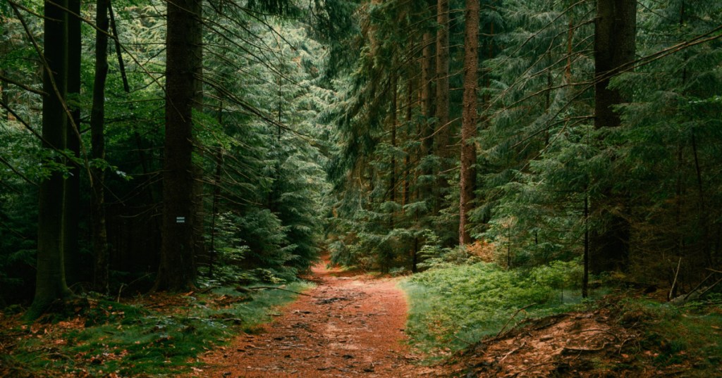 Source: Shutterstock