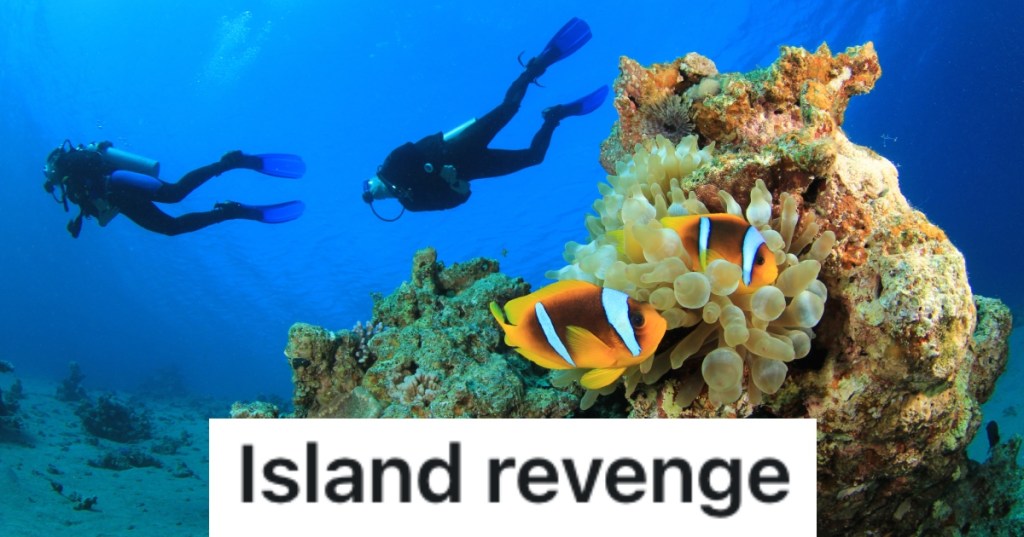 scuba divers in the ocean